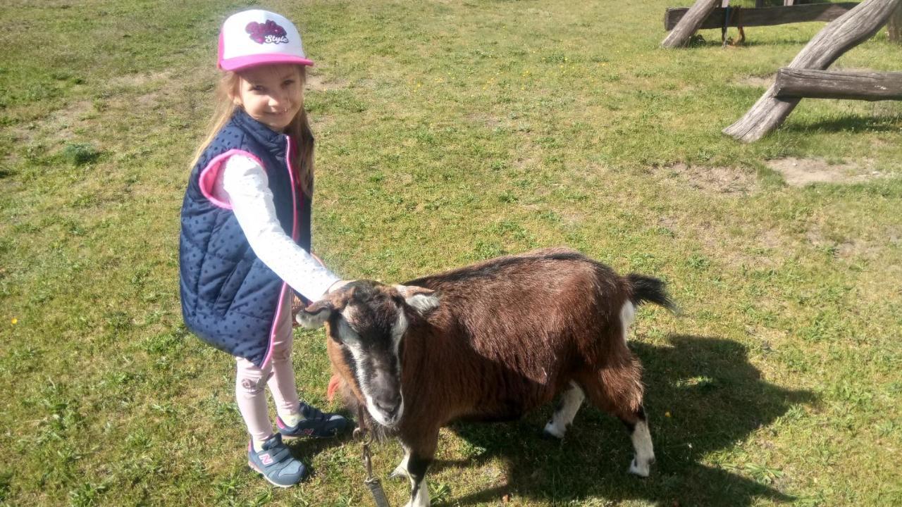 Agroturystyka Szyszka Polnica Exteriör bild