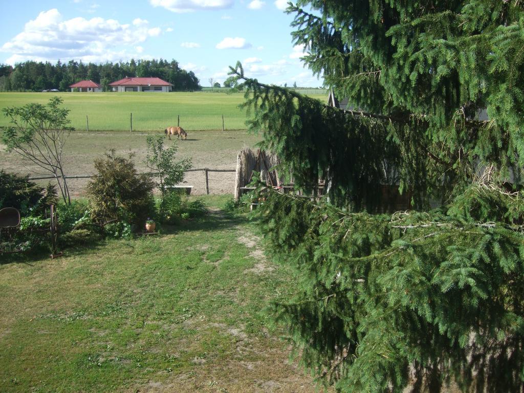 Agroturystyka Szyszka Polnica Exteriör bild
