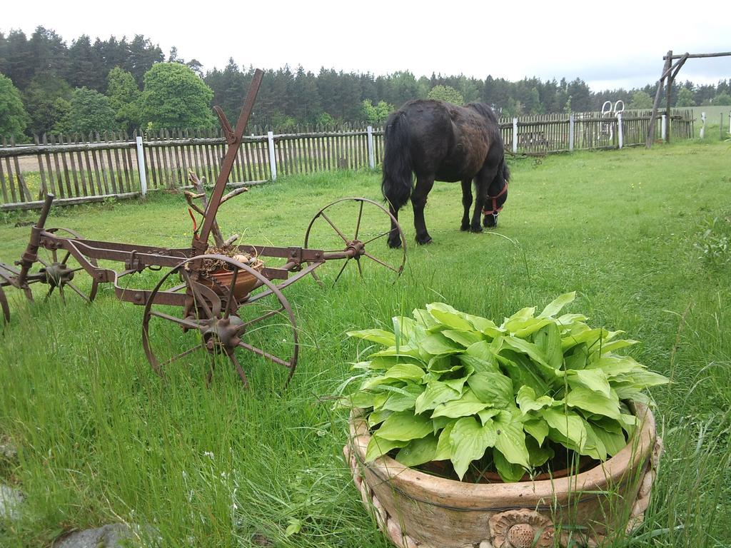 Agroturystyka Szyszka Polnica Exteriör bild
